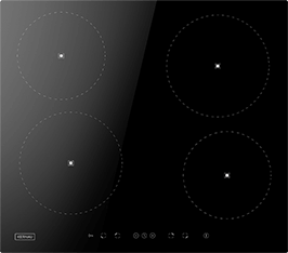 Induktionsfeld Reparatur Taunusstein